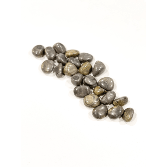 Stromatolite Tumbled Stone | Small Tumbled Gemstone.