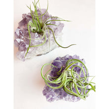  Amethyst Candle Holder or Planter | Raw Cluster Amethyst | Large Purple Amethyst | Great Gift.
