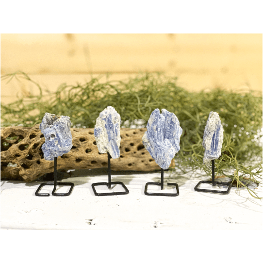 Blue Kyanite on a pin stand | Natural Crystal on metal stand.