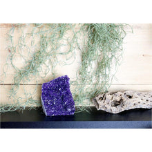  Raw Amethyst Base 2lbs | Purple Amethyst | Amethyst Base | Great Gift.